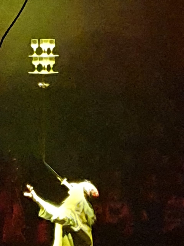 Главная елка в цирке и «Корзина с фиалками» в Орловском театре кукол